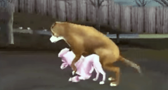 Humping dogs, the height of comedy for 8-year-olds everywhere.