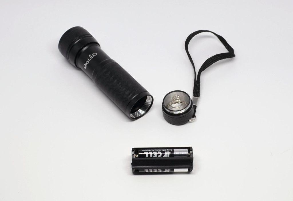 The batteries go in a holder prior to insertion.