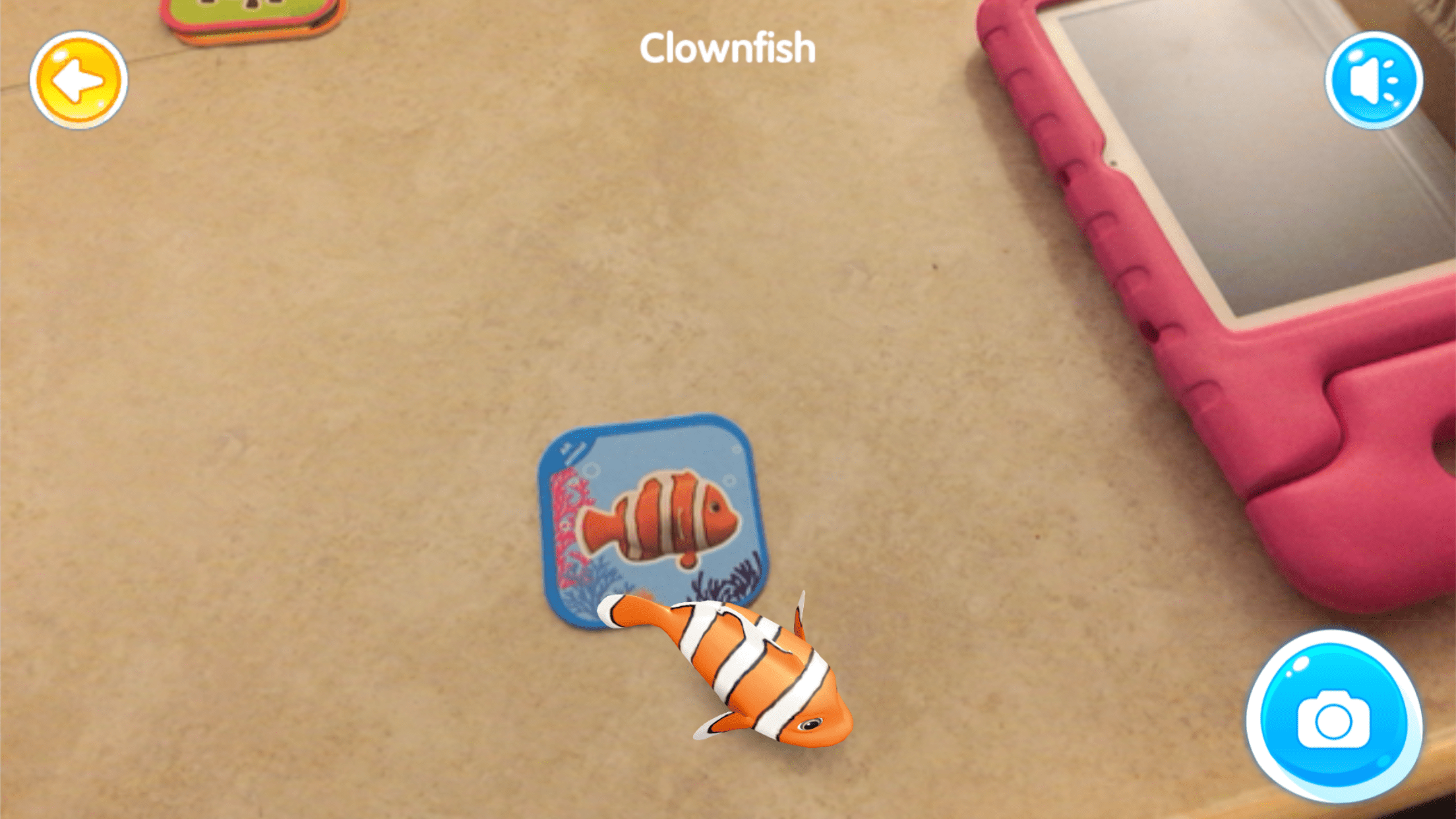 Interacting with the cards.
