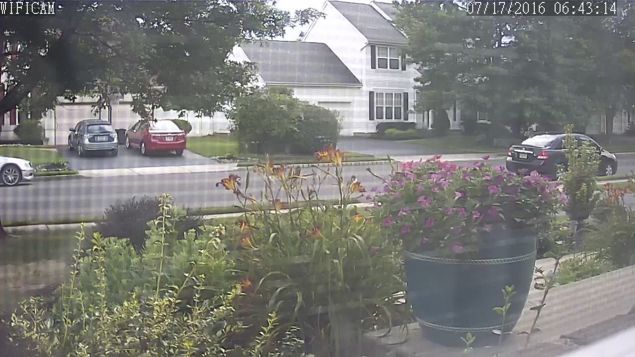 Screenshot from the "netcam" app.