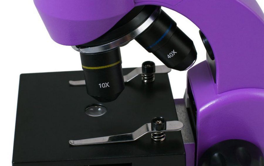Levenhuk Rainbow 50L Biological Microscope