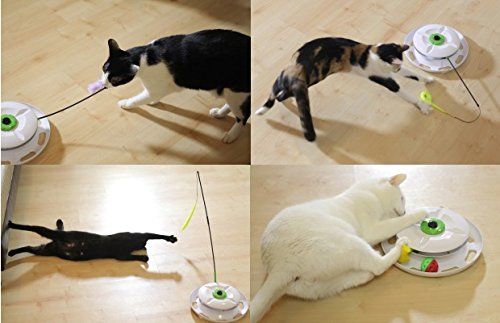 WANTi Interactive Cat Toy