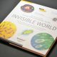 Book review: Invisible World by Oksana Mazur