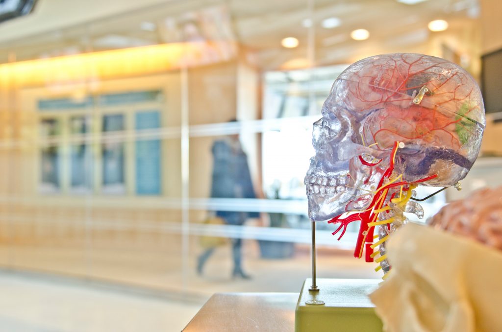アイフォン Cognitive Benefits of Playing Fast Paced Video Games