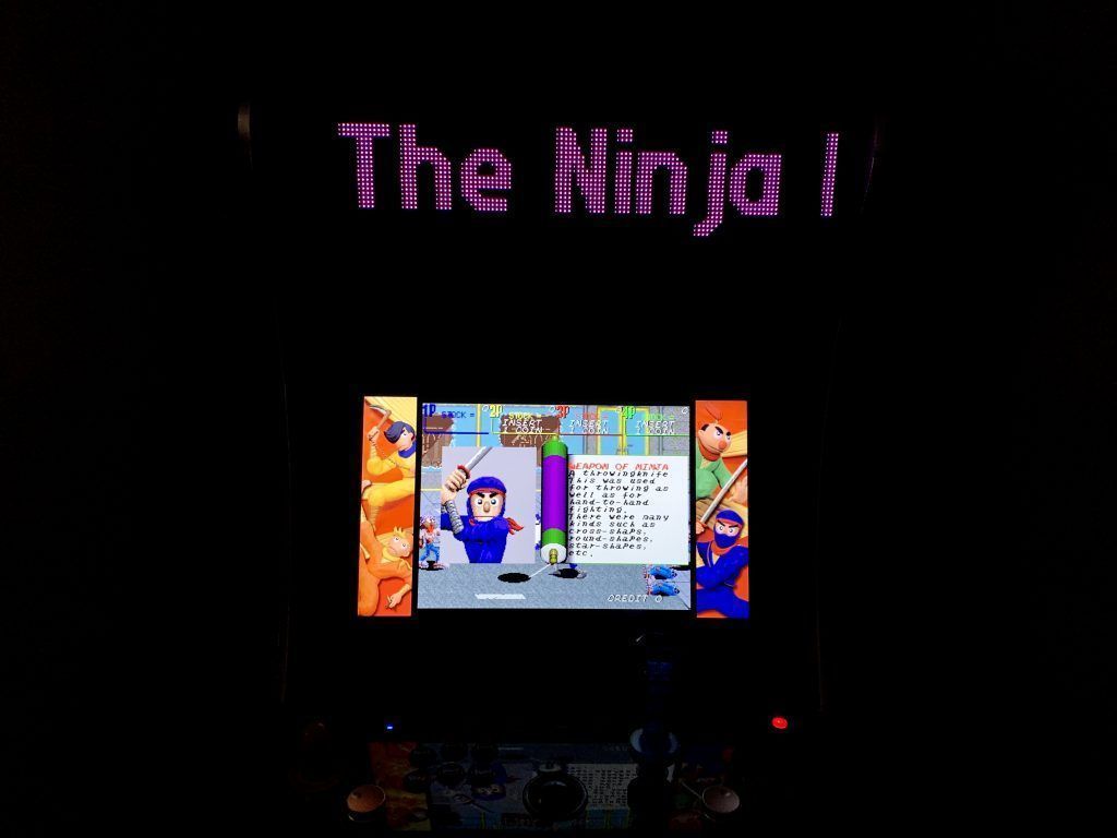 The Ninja Kids