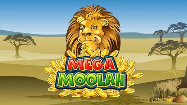 Mega Fortune slot review: features & where to play it from NZ!