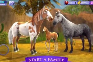Horse Riding Tales: Wild Pony game screenshot