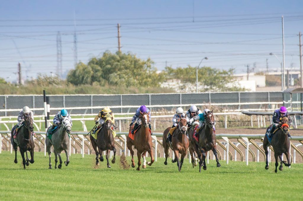 jockeys racing horses