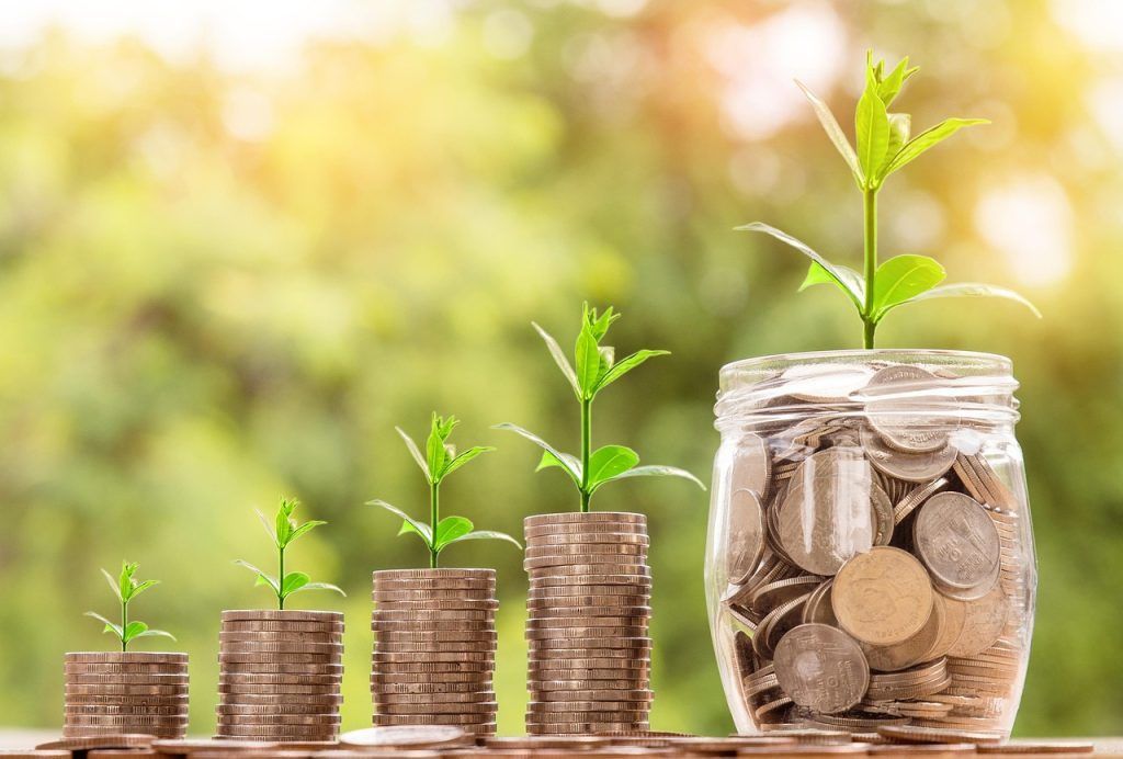 Concept of growing money with coins and plants.