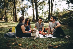 Group of People and a White Dog Sitting on White Mat on Grass Field