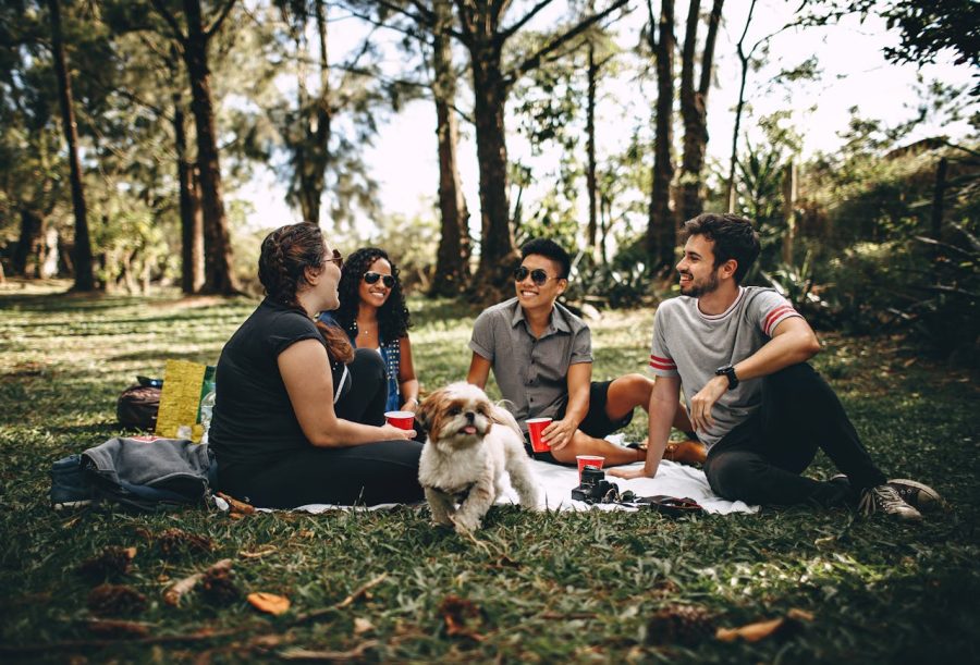 Group of People and a White Dog Sitting on White Mat on Grass Field